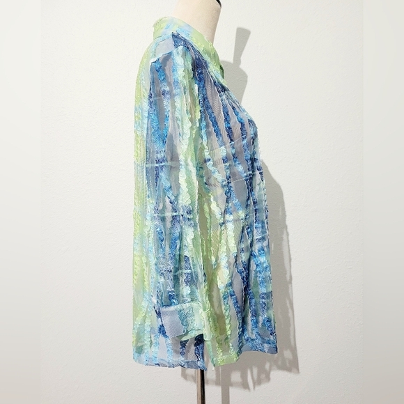 Erin London SZ XL Sheer Blouse Green Blue Stripe Textured Mesh Button Front Top - Picture 4 of 13